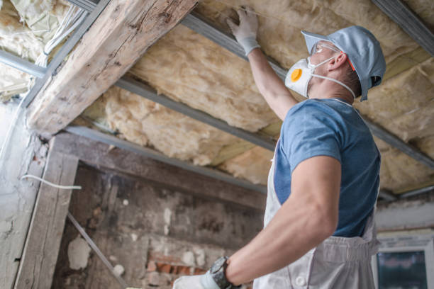 Best Spray Foam Insulation in Ak Chin Village, AZ